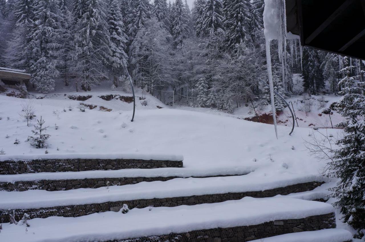Grand Monastery Apart-Hotel Pamporovo Esterno foto